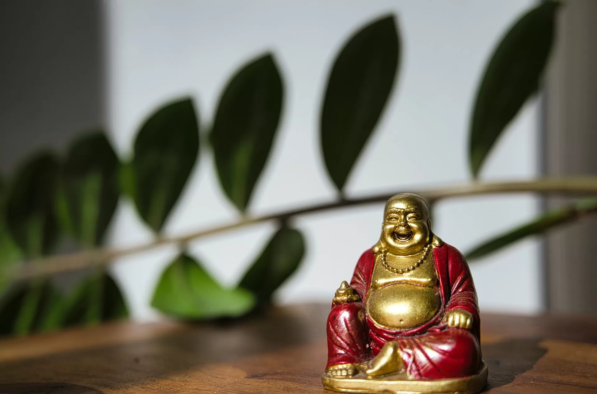 Embracing Serenity: A Homely Guide to the Laughing Buddha’s Warm Welcome